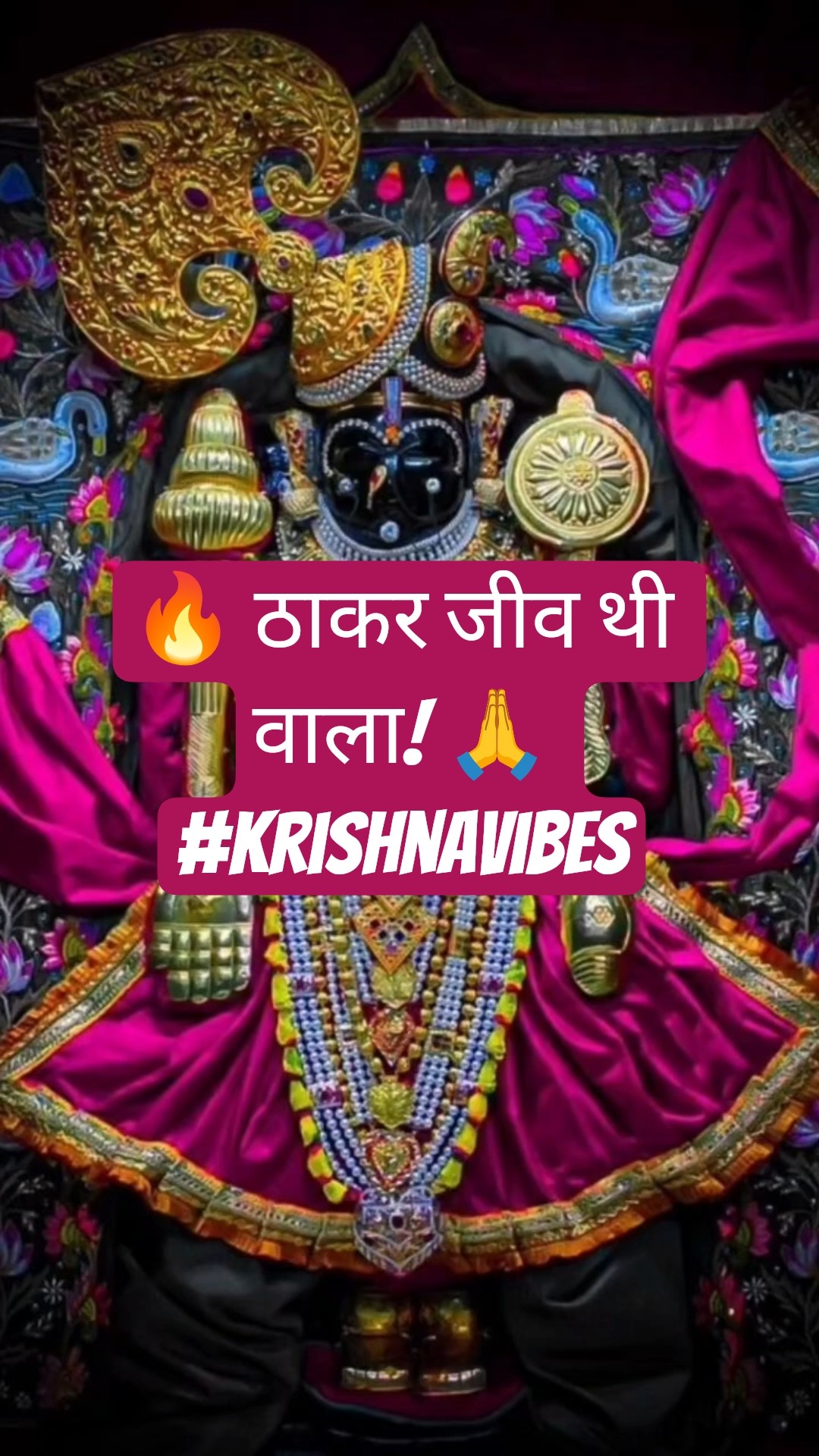 🙏 જય શ્રી કૃષ્ણ - ShareChat