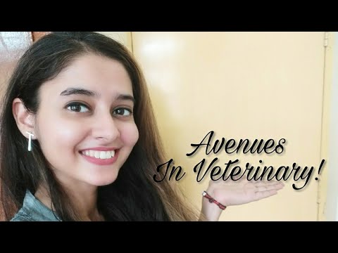 Job opportunities in Veterinary Sciences |Vet Visit - YouTube