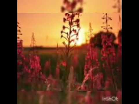 LIRIK LAGU MUNGKIN LIRIK LAGU MUNGKIN