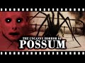 The Unseen Terror of POSSUM