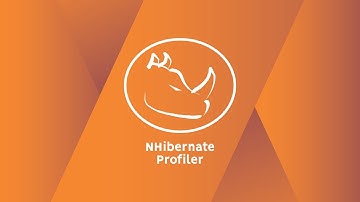NHibernate Profiler Introduction