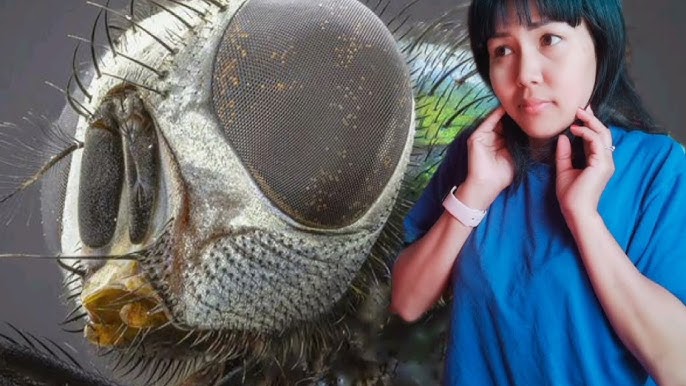 Жасырын камера анальды порно онлайн көру