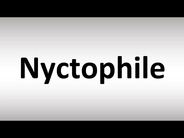 How to Pronounce Nyctophile class=