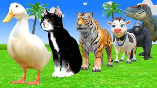 Long Slide Game With Cow Elephant Gorilla Hippopotamus Tiger 3d Animal Game Funny 3d Animals Long Slide Game With Cow Elephant Gorilla Hippopotamus Tiger 3d Animal Game Funny 3d Animals
