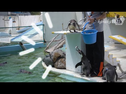 kanaka1221 - YouTube