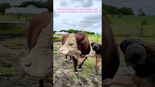 This Family Rescued A Calf Abandoned By Its Mother And Adopted It