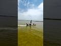 Gas vs Electric on a Micro Skiff: Is Electric Really Quieter?
