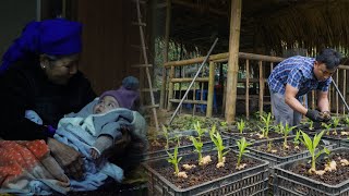 Download Lagu Chúc came to work on the farm. Yến's mother brought her granddaughter to help with the housework. MP3