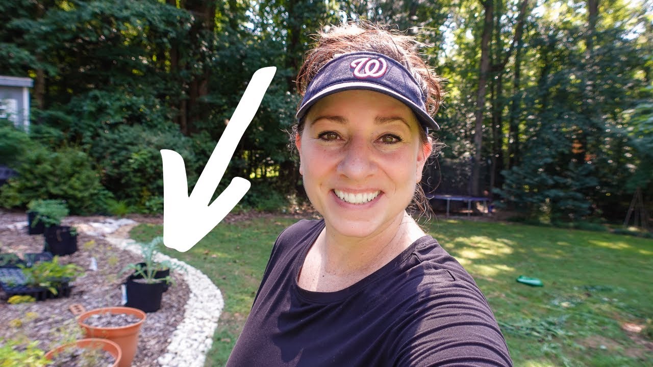 Rock Border Edging Update + Bottle Gentians In Bloom - VLOG Aug 24, 2022