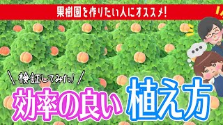 あつ 森 果樹 園 植え 方