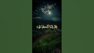 قال إنما أشكو بثي وحزني إلى الله | تلاوة خاشعة تريح القلوب بصوت إسلام صبحي