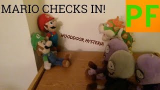 Plush Flush: Mario Checks In!