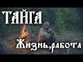 ТАЙГА (жизнь,работа)