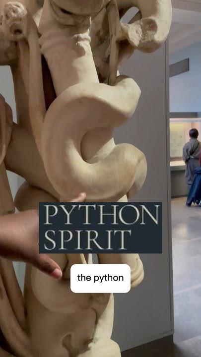 Python Spirit #shorts - YouTube