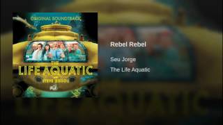 Rebel Rebel Rebel Rebel
