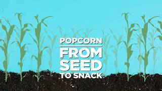 From Seed to Snack!