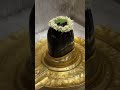 ॐ नमः शिवाय… जल से महादेव का पावन अभिषेक।trending #mahadev #aastha #youtubeshorts