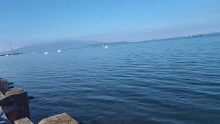 Bellingham Bay WA Crystal Clear Waters