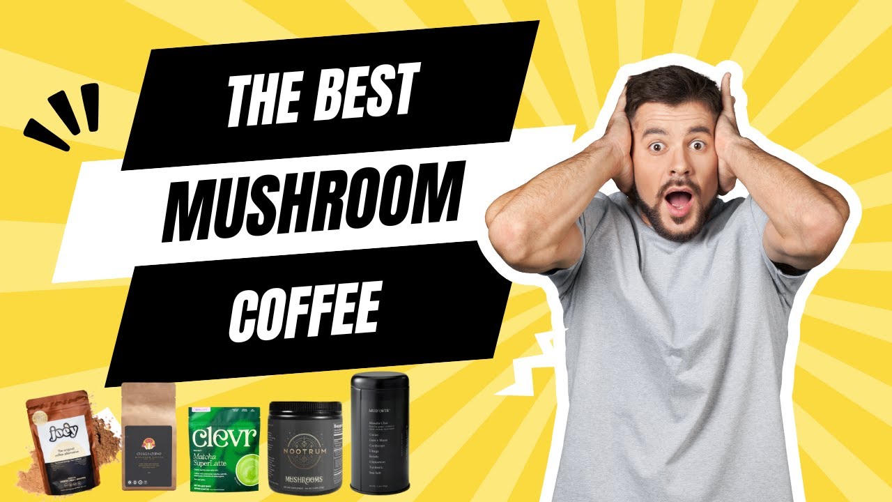 What are the Best Mushroom Coffee Alternatives in 2024? Our Top Picks for Cutting Back on Caffeine!