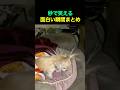 秒で笑える面白い瞬間まとめ😂😂🤣