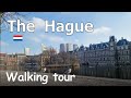 Discover the best of the hague netherlands a captivating walking tour