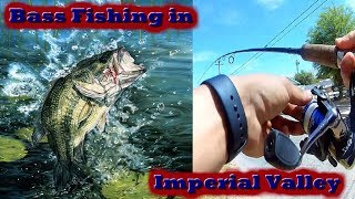 Bass Fishing in Imperial Valley