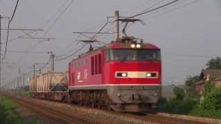 【信越本線】 4059ﾚ EF510 21+コキ 2013.8.16