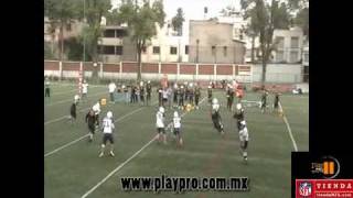 LEXFA 4º Jor 2009