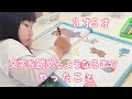 【英語も日本語も】0才〜国産バイリンガル育児