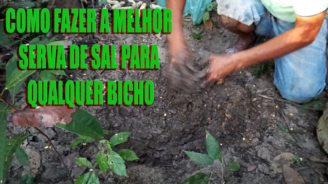 como fazer a melhor ceva de sal PARA DIVERSOS ANIMAIS