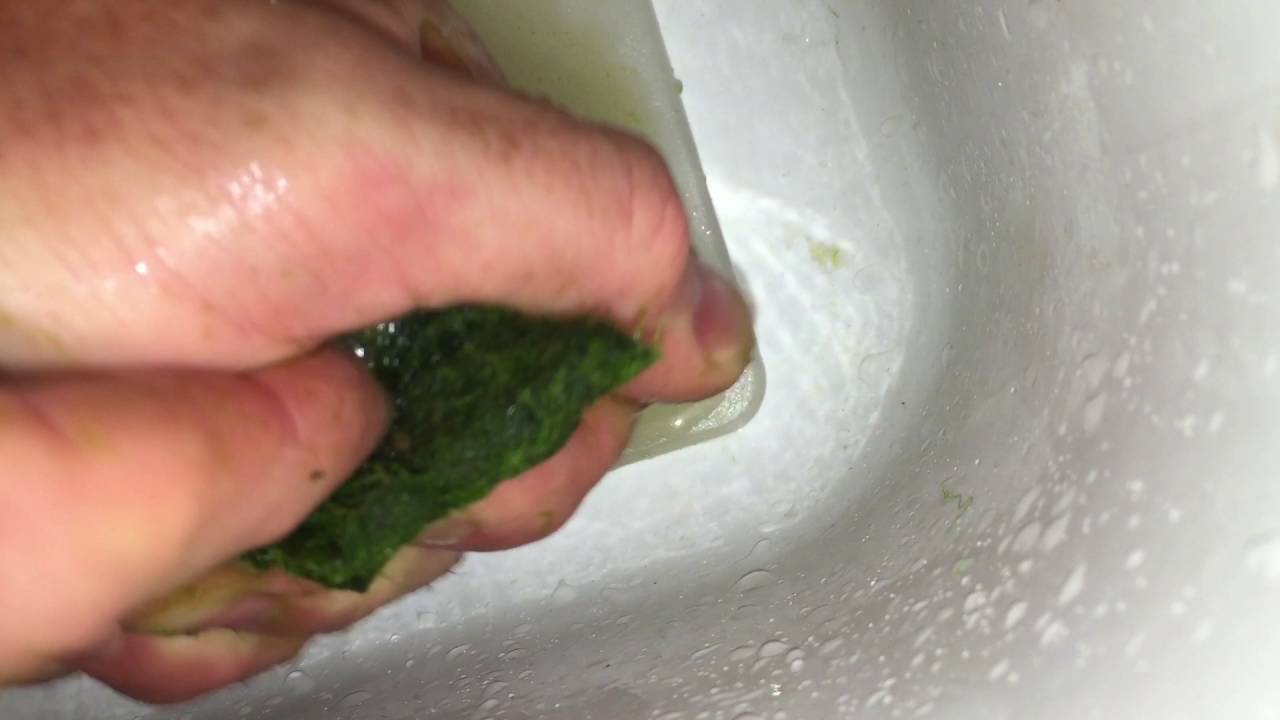 Turbo's Aquatics L2 Rev 4 - First cleaning (3 of 4)