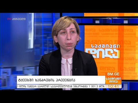 ტყეებში ხანძრების პრევენცია - ნათია იორდანიშვილი საქმიან დილაში