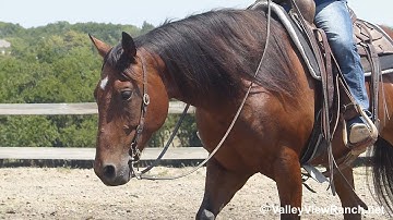 Nuclear Smart***For info, price, etc., go to our website***ValleyViewRanch.net