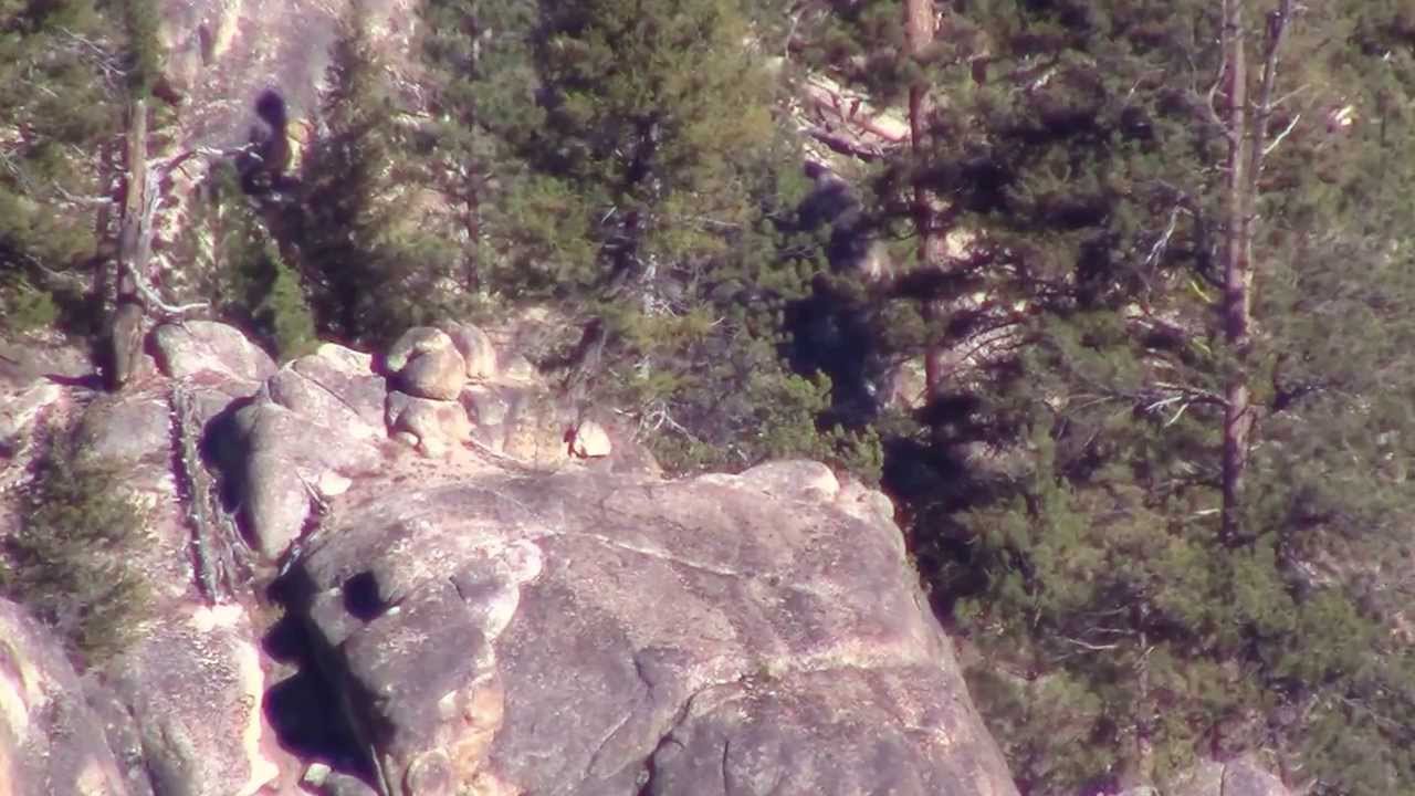 Shooting 960 yards 6.5-284