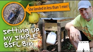 How To Start A Black Soldier Fly Larvae Composting Bin