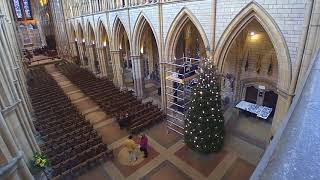 Truro Cathedral Christmas Tree