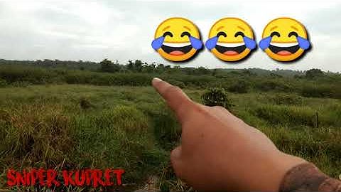 #BerburuBelibis #Mandar                              Berburu Belibis Mandar Biru dan Mandar Hitam
