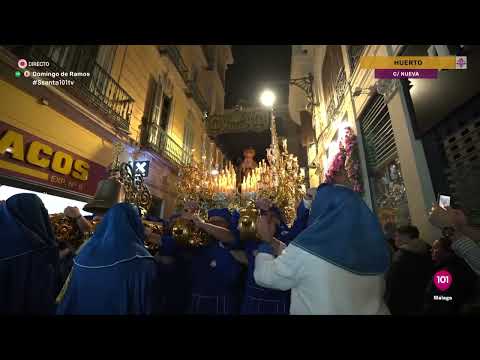Pontificia, Muy Ilustre y Venerable Archicofradía Sacramental y Seráfica de Nuestro Padre Jesús Orando en el Huerto, Nuestra Señora de la Concepción, San Juan Evangelista y Nuestra Señora de la Oliva
