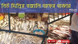 বাঙ্গালী মাছের বাজার নিউ দিল্লি - fish market in new delhi india