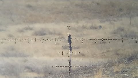 Can the new Scopemate S28 take down the TriggerCam?