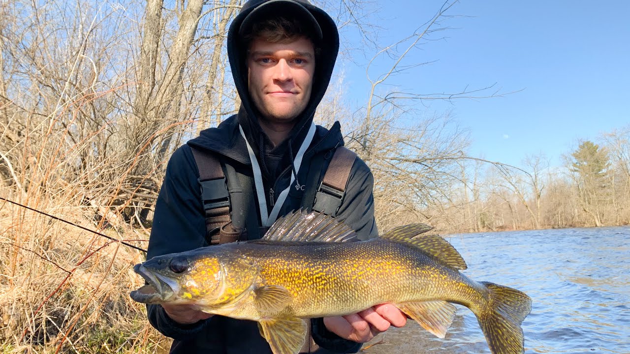Walleye River Fishing FROM SHORE (Tips) 