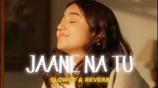 Jaane Na tu #song trending song Hindi song