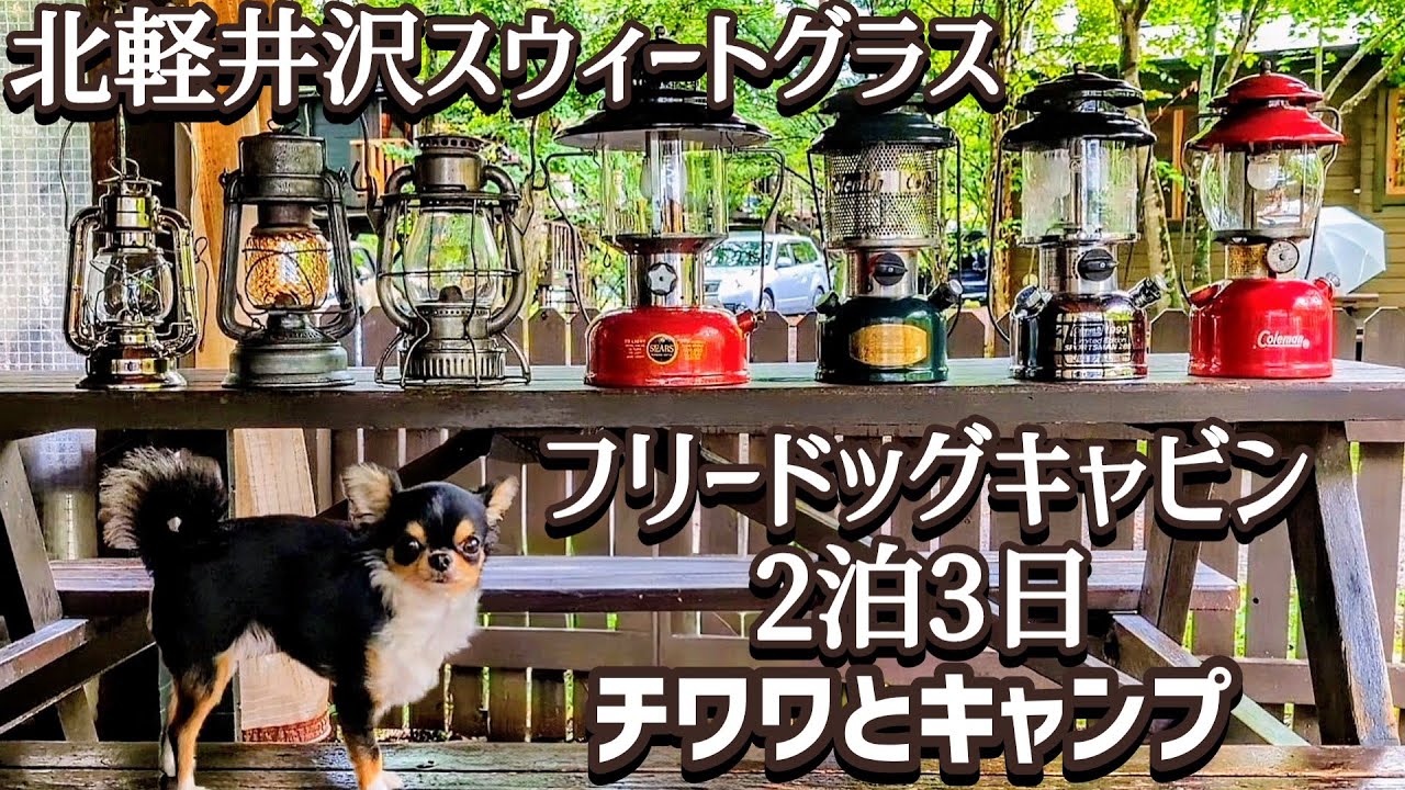 【北軽井沢スウィートグラス：フリードッグキャビン】で犬連れキャンプ♪食べて遊んで散歩して大満足の3日間！ヴィンテージランタンの紹介動画もあります♪