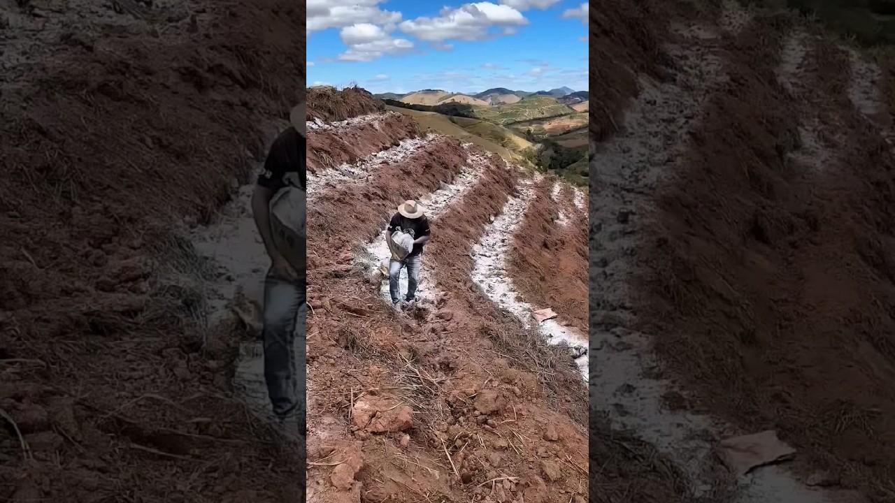 Coffee Journey: 3–4 Years of Farmers' Dedication 😌