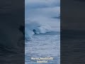 Waves in the ocean