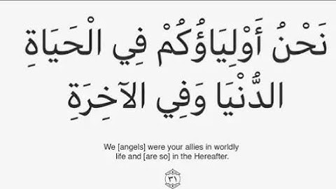 سورة حم بصوت خاشع وتلاوة مدهشة 🌹
