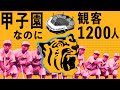 甲子園なのに観客1,200人・・・【阪神が人気球団になるまでの歴史】