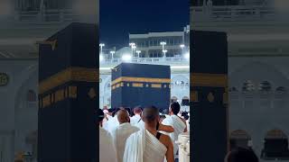 Hajj 2026 Pilgrims of Kashmir Left for Saudi Arabia to perform Haj #hajj #makkah #allah #shorts #fyp