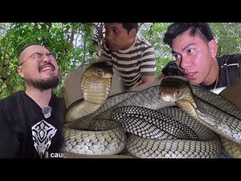 PINAGTULUNGAN HULIHIN ANG JUMBO KING COBRA KASAMA ANG MGA JAPANESE 