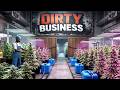 Der Brokkoli Anbau wird umgebaut - #11 Dirty Business gameplay deutsch